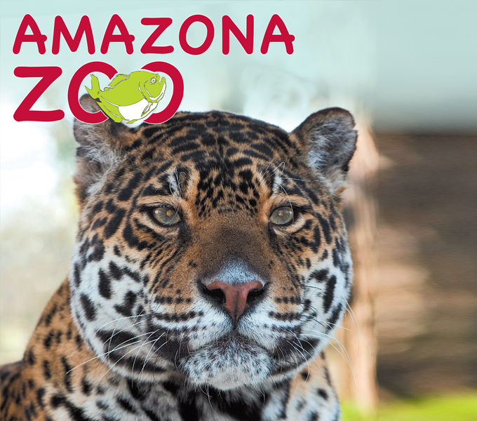 Amazona Zoo, Cromer