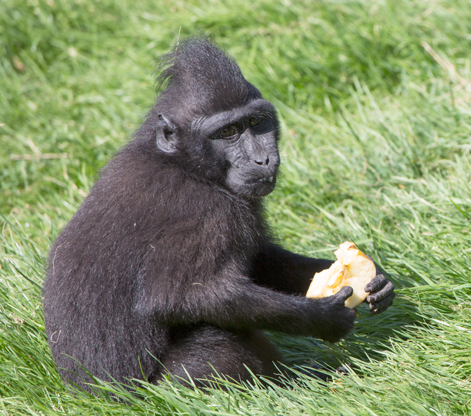 Thrigby Wildlife Gardens
